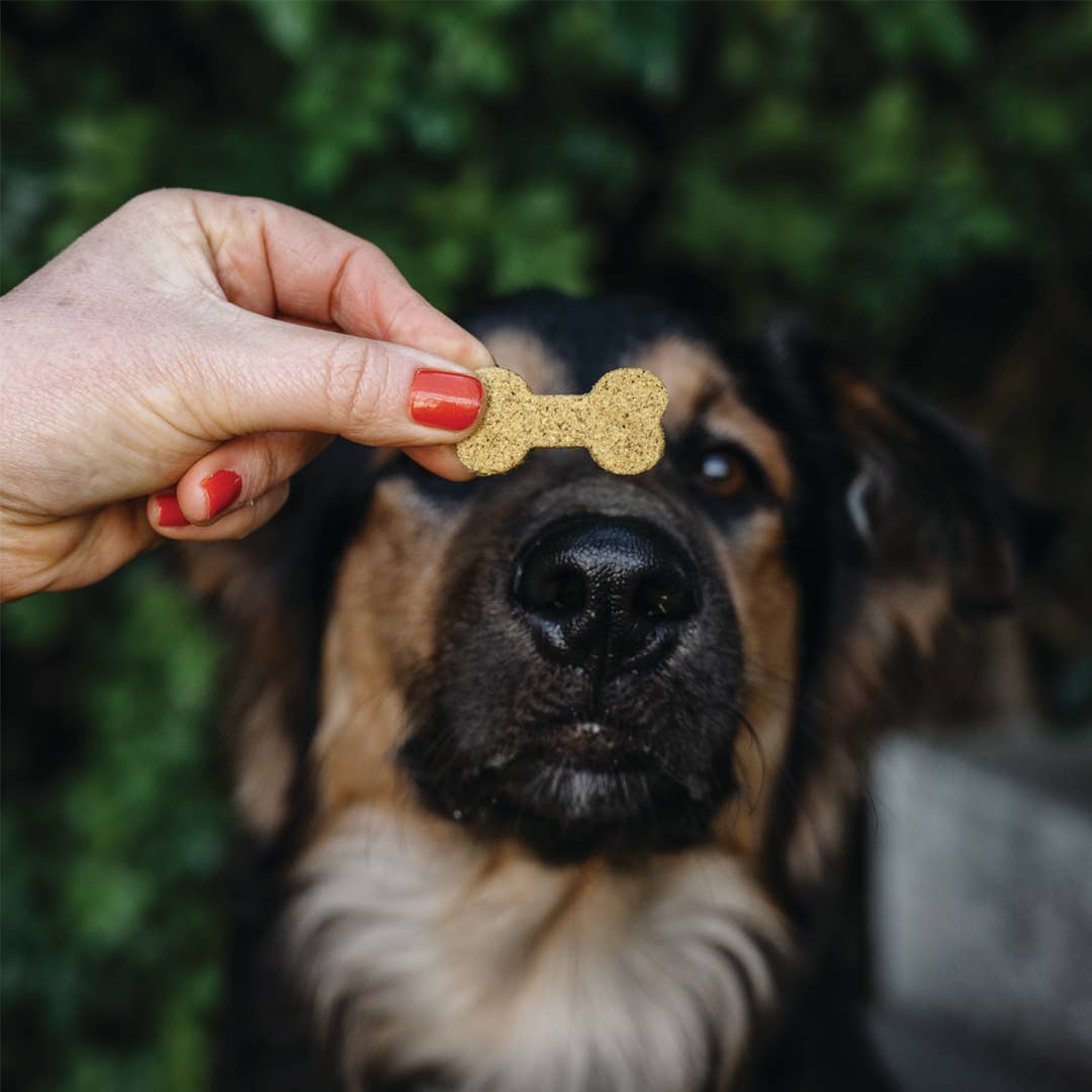 100% Natural Peanut Butter & Turmeric Dog Treats - The Cambridge Dog Co.