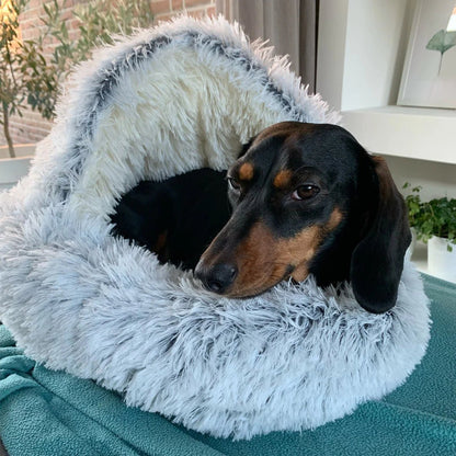 Cosy sale dog beds