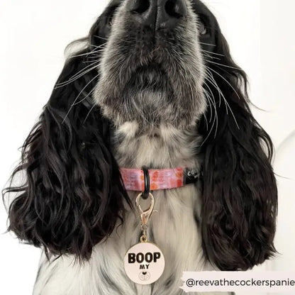 Dog Collar Charm - Boop My Nose