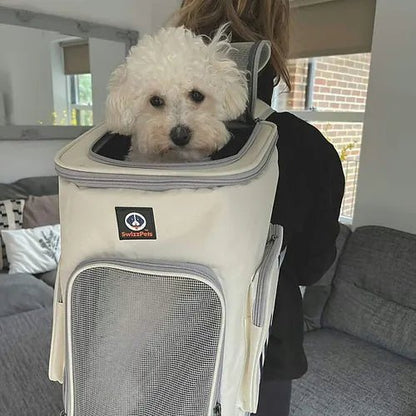 Foldable Pet Carrier Backpack With Breathable Design - The Cambridge Dog Co.