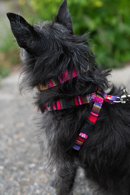 Hiro & Wolf Inca Pink Dog Collar