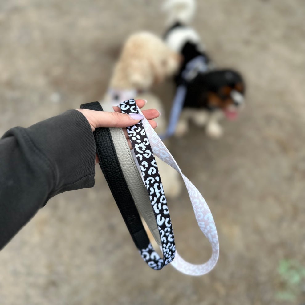 Luxe Collection | Dog Lead - Black or Blue - The Cambridge Dog Co.