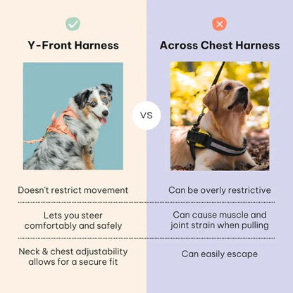 No-Pull Dog Harness - Peach