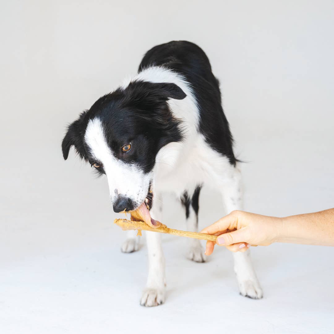 Peanut Butter & Mint Dog Treats - The Cambridge Dog Co.